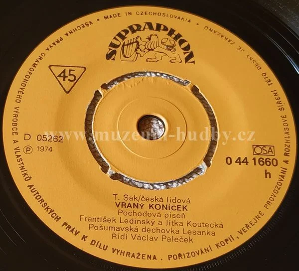 Pošumavská Dechovka Lesanka - Obrázek 3