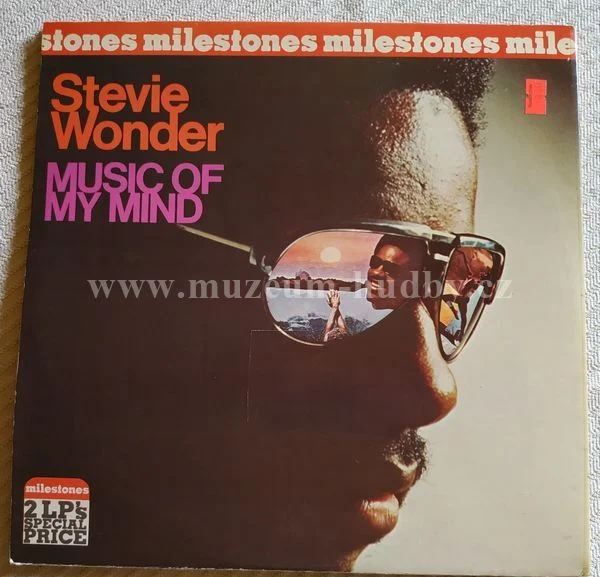 Stevie Wonder - Obrázek 3