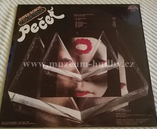 Ota Petřina, Super Robot - Obrázek 2