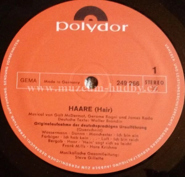 Ensemble Der Deutschsprachigen Hair Uraufführung - Obrázek 5