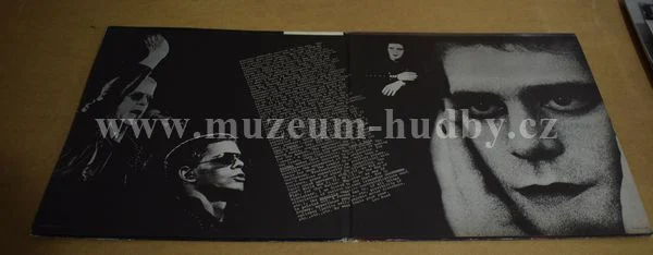 Lou Reed - Obrázek 2