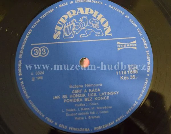 Božena Němcová - Obrázek 4