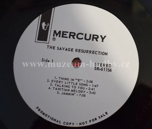 Savage Resurrection - Obrázek 3