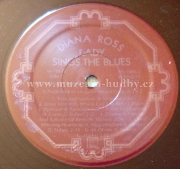 Diana Ross - Obrázek 9