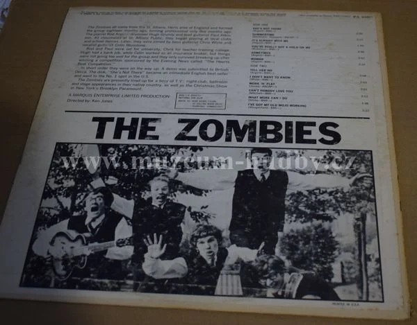 Zombies - Obrázek 2