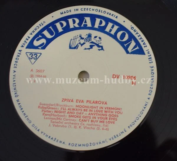 Eva Pilarová - Obrázek 4