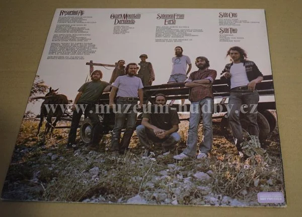 Ozark Mountain Daredevils - Obrázek 2