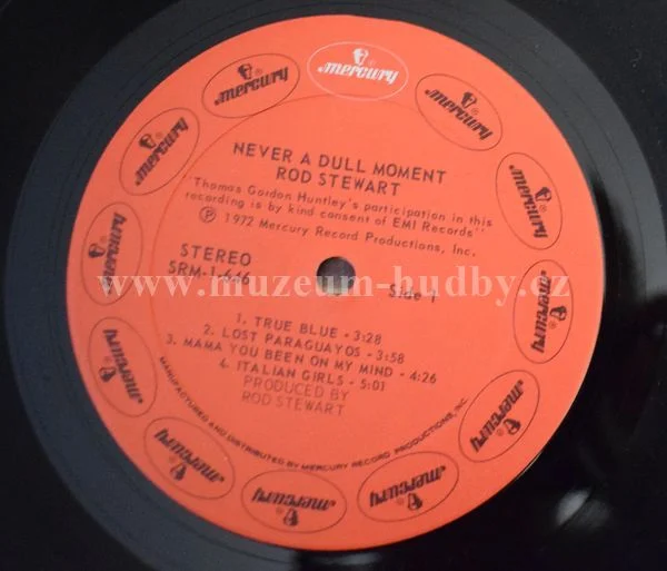 Rod Stewart - Obrázek 5