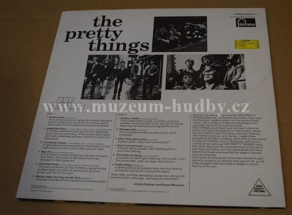 Pretty Things - Obrázek 2