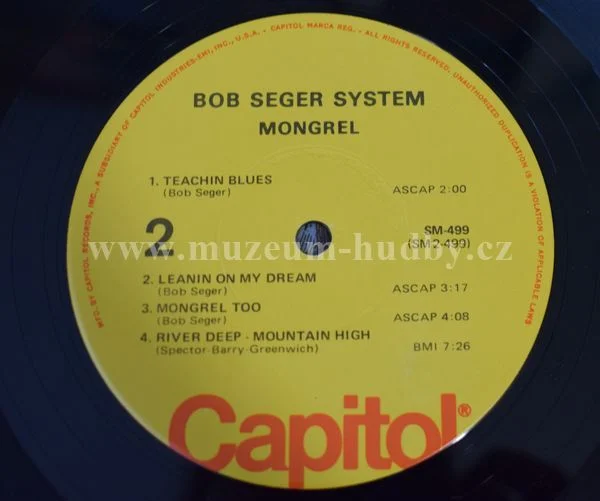 Bob Seger System - Obrázek 3