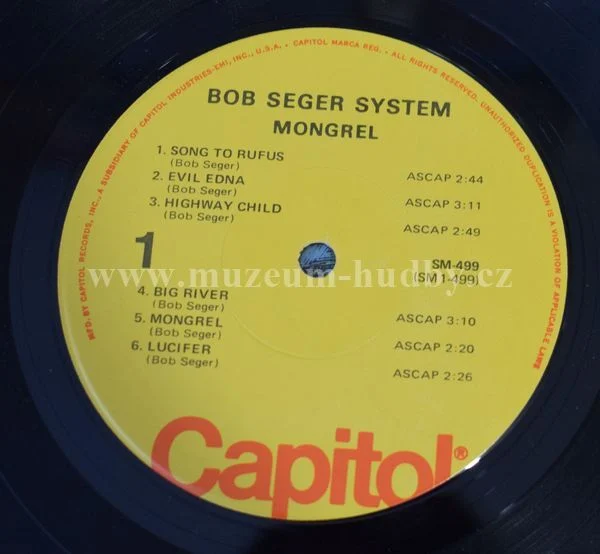 Bob Seger System - Obrázek 4