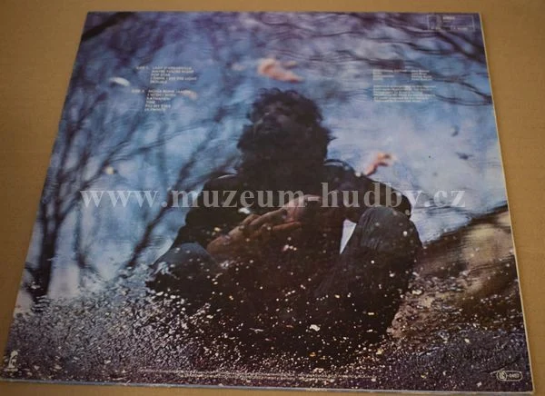 Cat Stevens - Obrázek 2