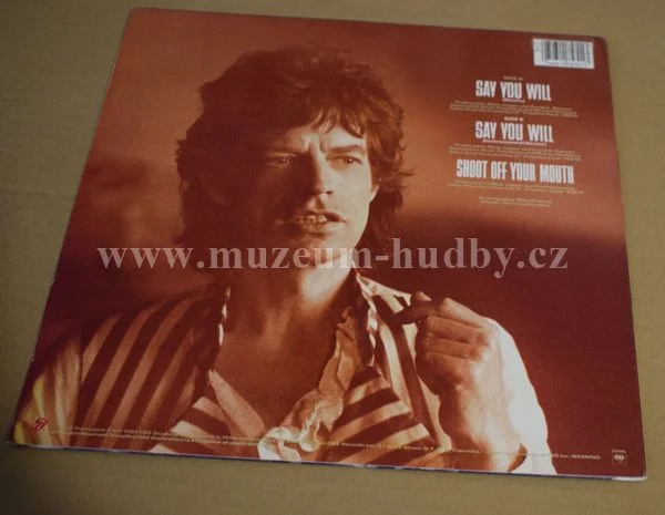 Mick Jagger - Obrázek 2