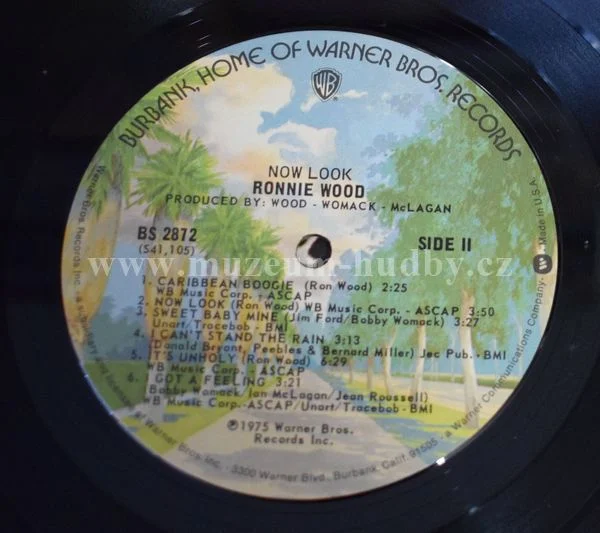 Ronnie Wood - Obrázek 3
