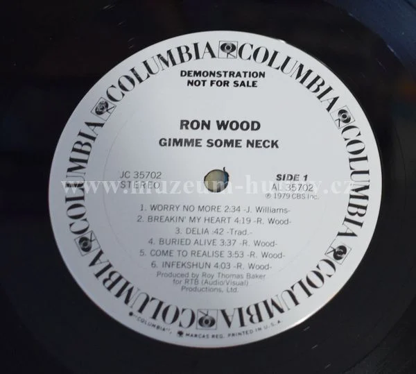 Ron Wood - Obrázek 4