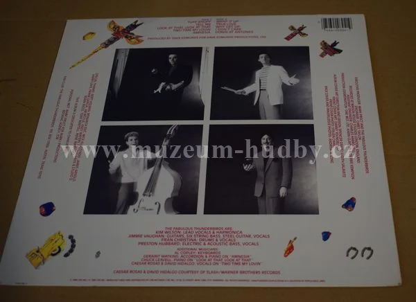 Fabulous Thunderbirds - Obrázek 2