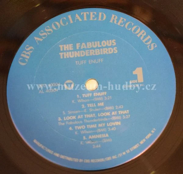 Fabulous Thunderbirds - Obrázek 3