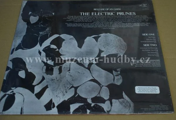Electric Prunes - Obrázek 2