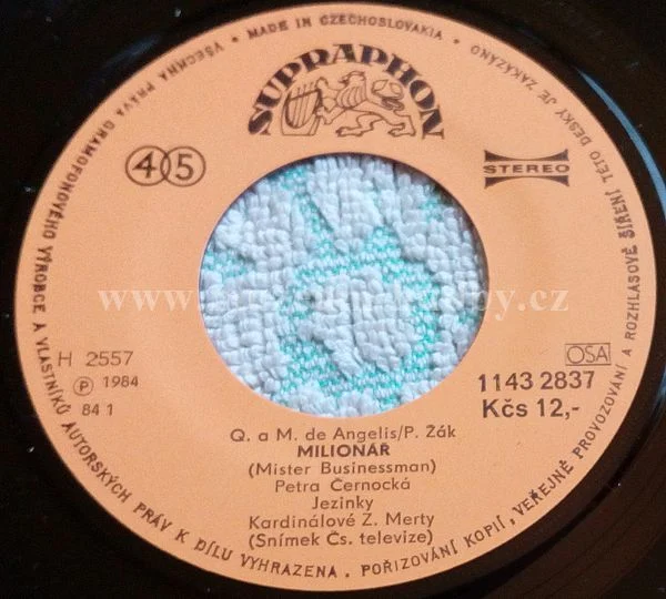 Petra Černocká - Obrázek 2