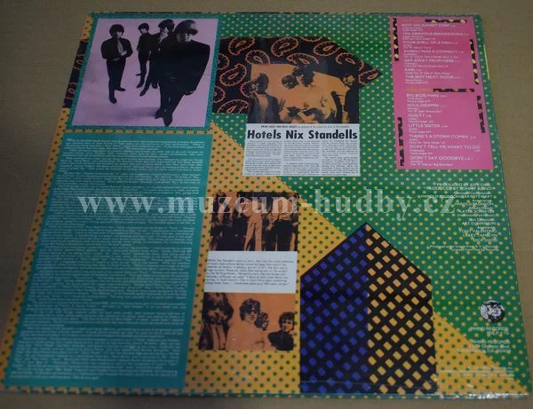 Standells - Obrázek 2