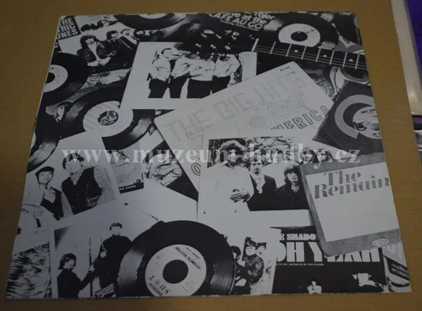 Standells, The Strangeloves, The Seeds, The Remains... - Obrázek 4