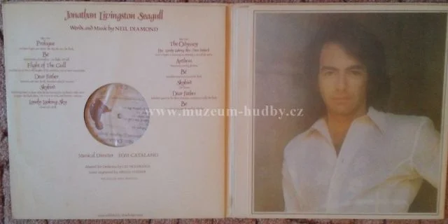 Neil Diamond - Obrázek 2