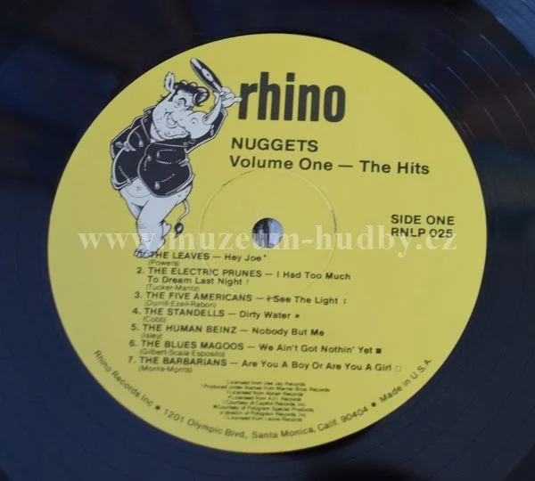 Human Beinz, Standells, Electric Prunes, Leaves... - Obrázek 4
