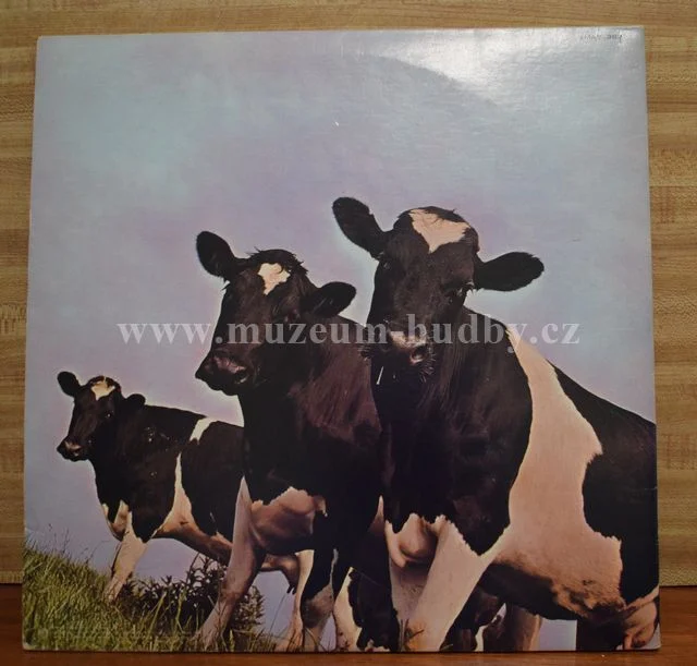 Pink Floyd - Obrázek 4