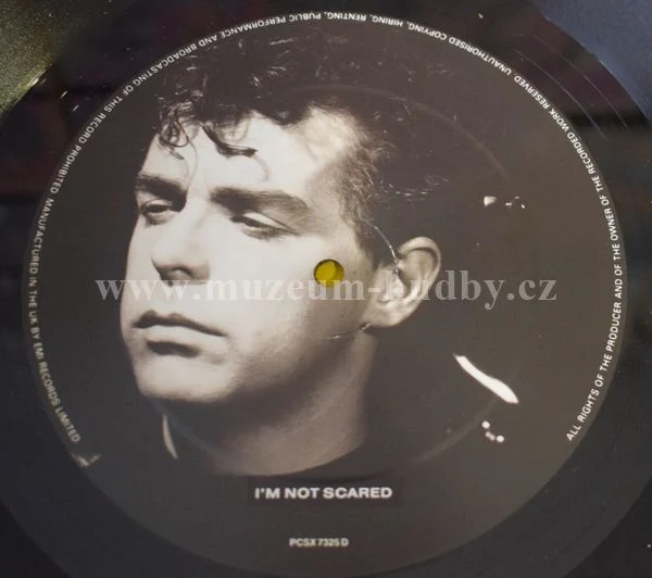 Pet Shop Boys - Obrázek 4