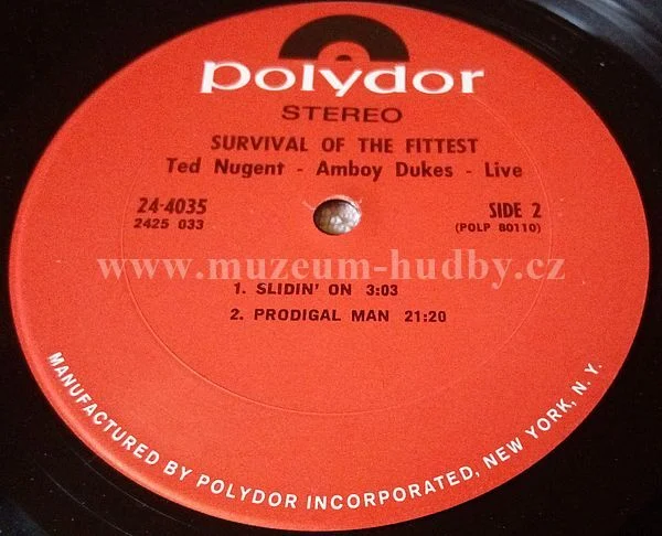Ted Nugent And The Amboy Dukes - Obrázek 6