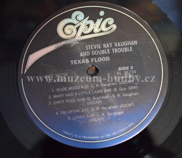 Stevie Ray Vaughan And Double Trouble - Obrázek 3