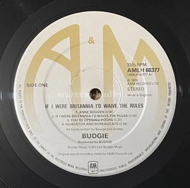 Budgie - Obrázek 5