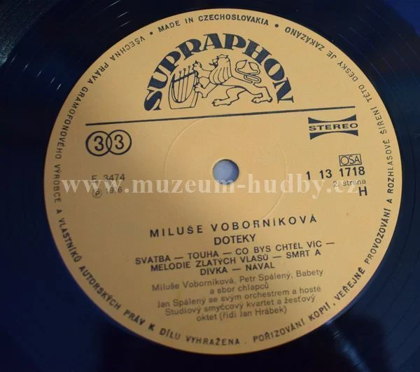 Miluše Voborníková - Obrázek 4