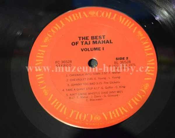 Taj Mahal - Obrázek 4