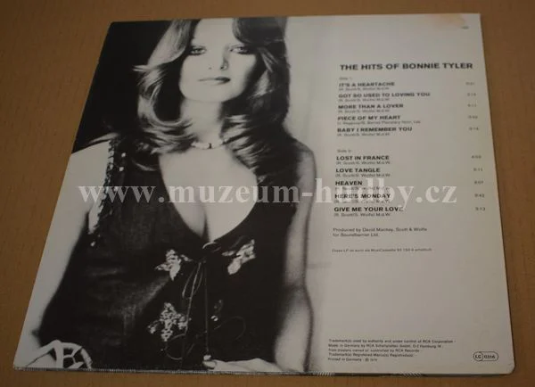 Bonnie Tyler - Obrázek 2