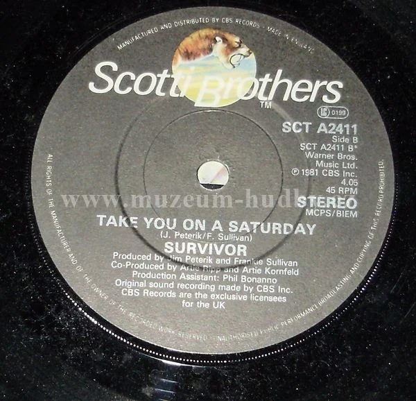 Survivor - Obrázek 2
