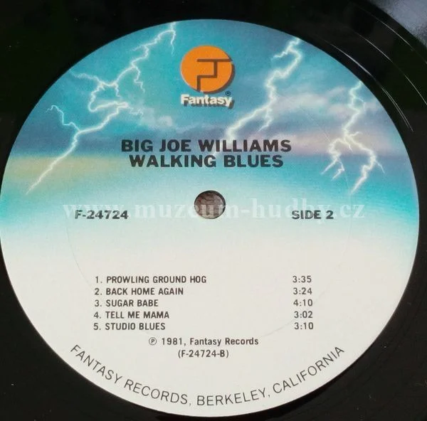 Big Joe Williams - Obrázek 4
