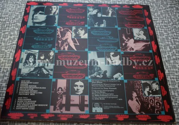 T.Rex - Obrázek 2
