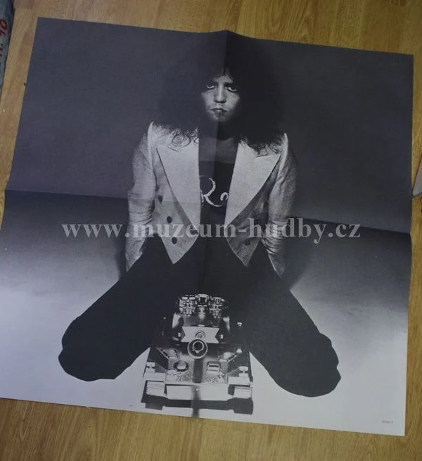 T.Rex - Obrázek 5
