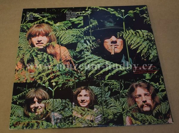 Savoy Brown - Obrázek 3