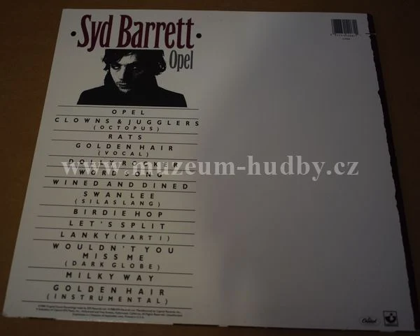 Syd Barrett - Obrázek 2