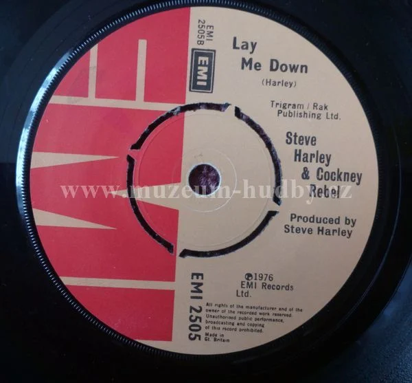 Steve Harley & Cockney Rebel - Obrázek 2