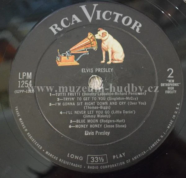 Elvis Presley - Obrázek 3