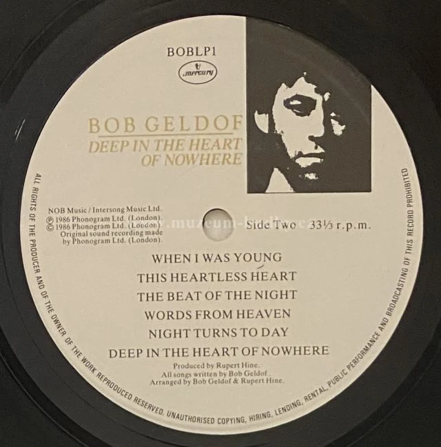 Bob Geldof - Obrázek 7