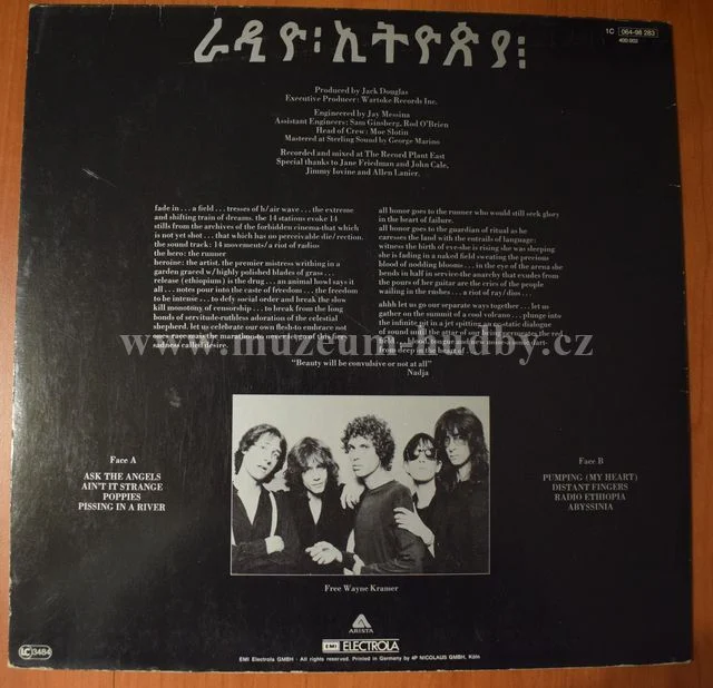 Patti Smith Group - Obrázek 2