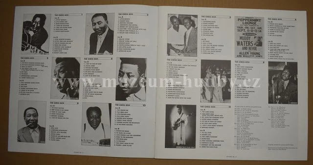Muddy Waters - Obrázek 5