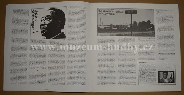 Muddy Waters - Obrázek 9