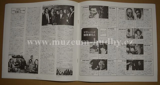 Muddy Waters - Obrázek 10