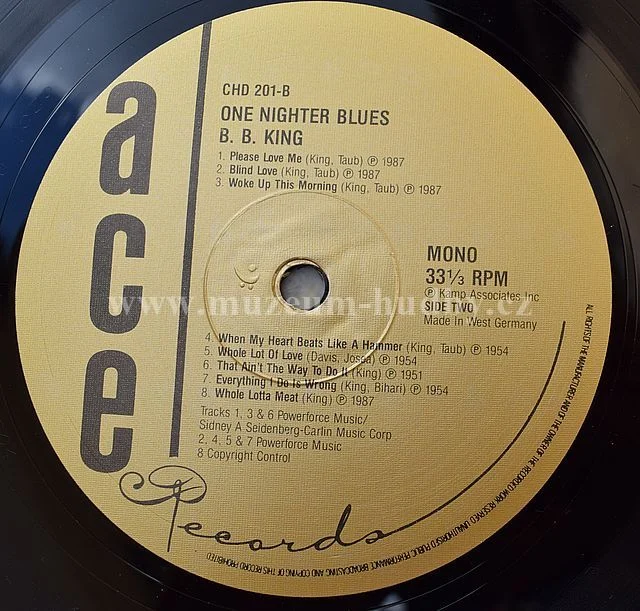 B.B. King - Obrázek 4