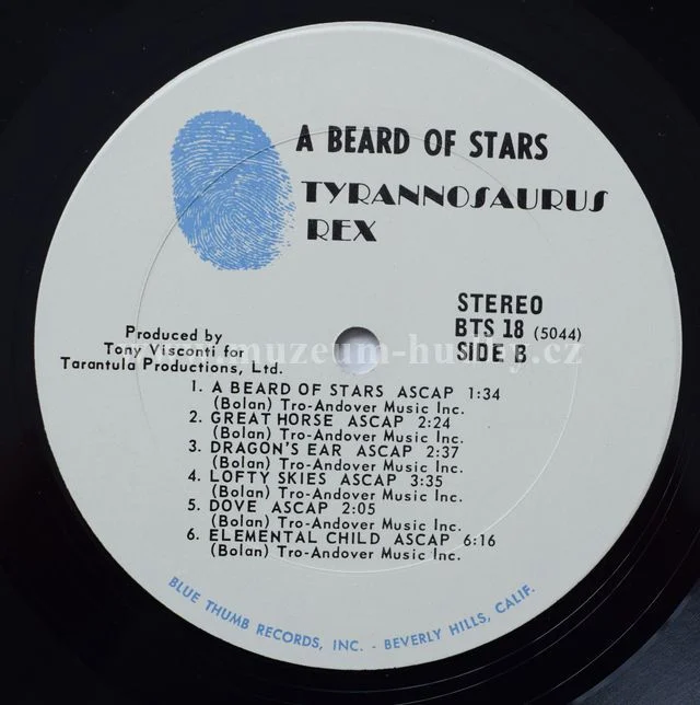 Tyrannosaurus Rex / Marc Bolan - Obrázek 5